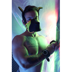 Breedwell Masque Poundtown Pup Breedwell Noir-Jaune